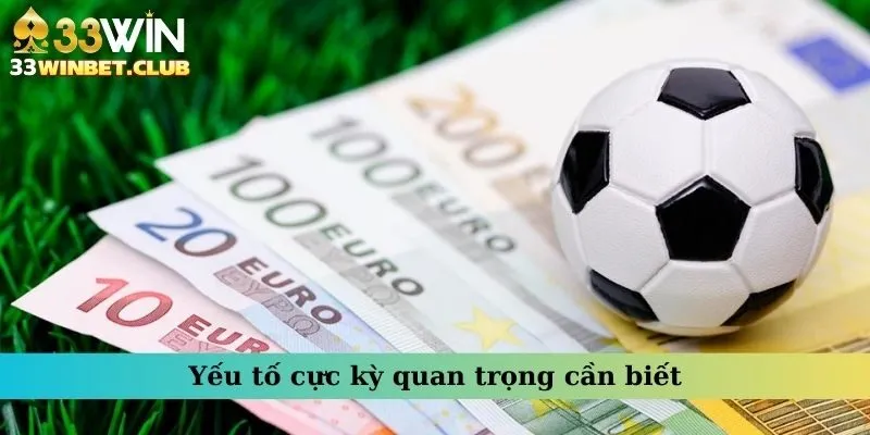 Yếu tố thật sự quan trọng mà bạn cần biết Yếu tố thật sự quan trọng mà bạn cần biết